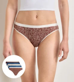 Lot de 5 culottes délice café Les Pockets Coton