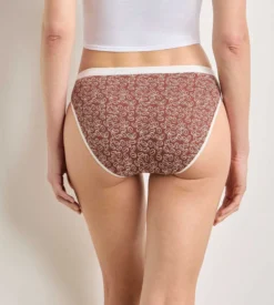 Lot de 5 culottes délice café Les Pockets Coton
